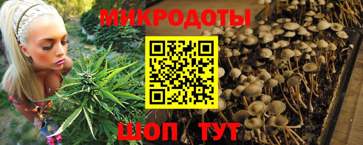 Галлюциногенные грибы GOLDEN TEACHER  Вход с VPN  Тайшет 